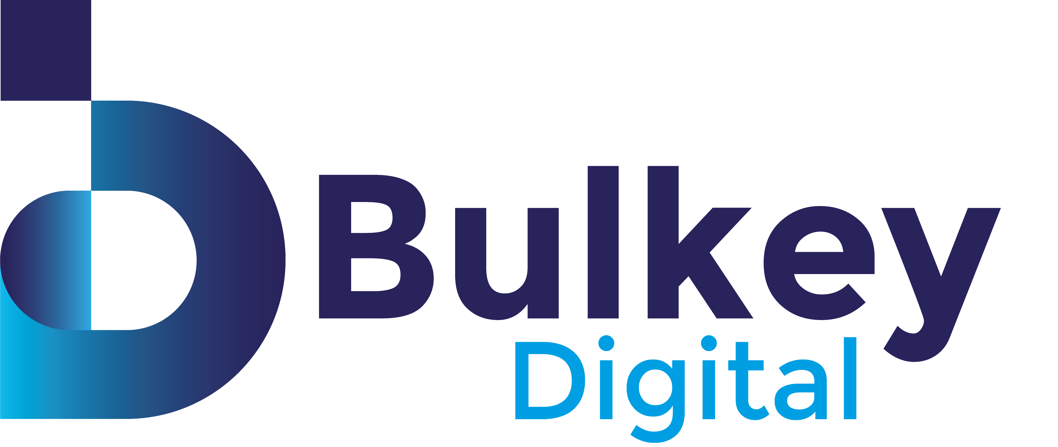 BULKEY DIGITAL LIMITED
